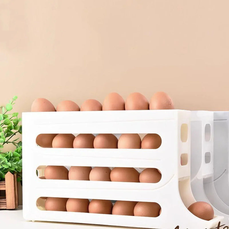 Organizador de Ovos + Frete Grátis + Bônus + Descontos